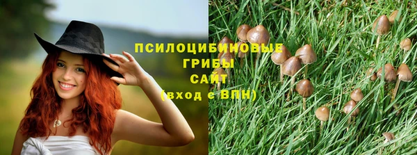 прущие крисы Волосово