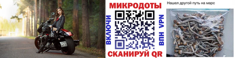 Псилоцибиновые грибы MAGIC MUSHROOMS  Купить закладки  Киренск 